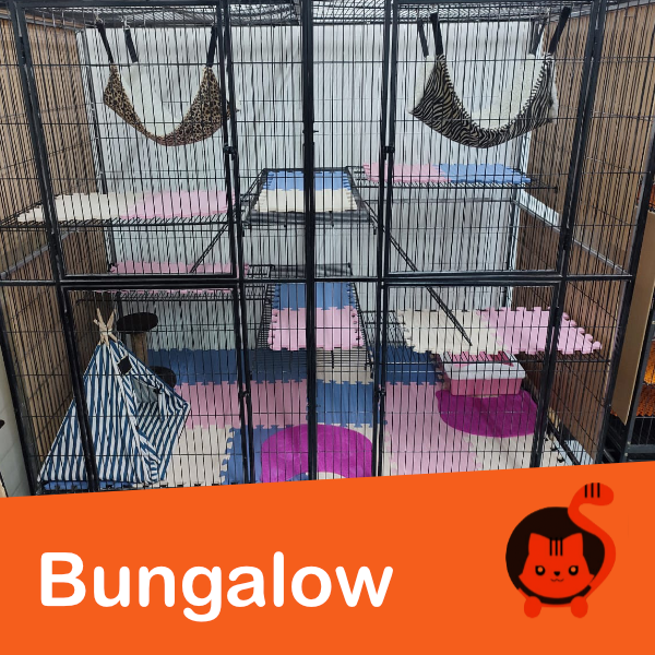 bungalow2.png